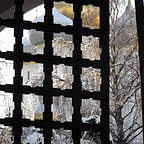 Обложка альбома: Прогулка по Новодевичьему монастырю